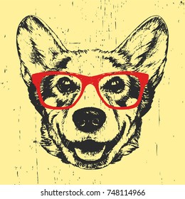  Portrait of Pembroke Welsh Corgi with glasses, hand-drawn illustration, vector
