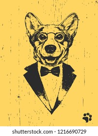 Portrait of Pembroke Welsh Corgi in suit. Hand-drawn illustration. Vector