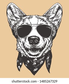 Portrait of Pembroke Welsh Corgi with sunglasses and scarf. Hand-drawn illustration. Vector