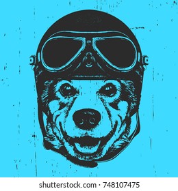  Portrait of Pembroke Welsh Corgi with vintage helmet, hand-drawn illustration, vector
