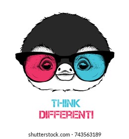Portrait of the penguin in the colored glasses. Think different. Vector illustration.