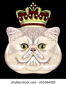 Portrait of a Persian cat with a golden crown on his head