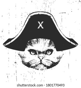 Portrait of Persian Cat with a pirate hat. Vector. 