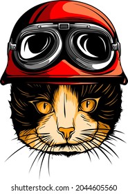 Portrait of Persian Cat with Vintage Helmet. Vector