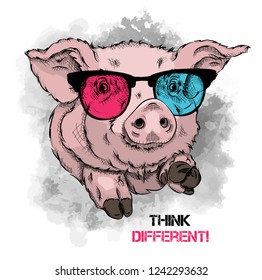 Portrait of a pig in the colored glasses. Think different. Vector illustration.