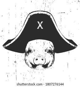 Portrait of Pig with a pirate hat. Vector. 