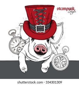 Portrait Pig in a red steampunk top hat with watch. Vector illustration.