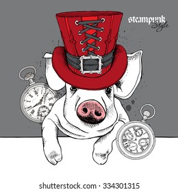 Portrait Pig in a red steampunk top hat with watch. Vector illustration.