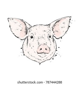 Pig Nose Stock Vectors, Images & Vector Art | Shutterstock