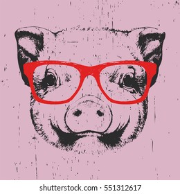 Portrait of Piggy with glasses. Hand drawn illustration. Vector