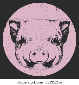 Portrait of Piggy. Hand drawn illustration. Vector