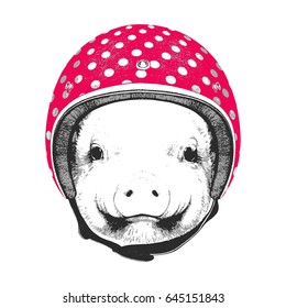 Portrait of Piggy with Helmet. Vector