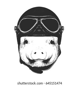 Portrait of Piggy with Vintage Helmet. Vector