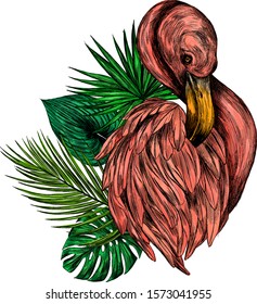 portrait of pink Flamingo bird with palm tree