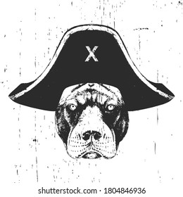 Portrait of Pitbull with a pirate hat. Vector. 