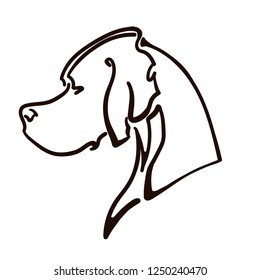 A portrait of pointer dog 
