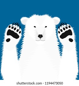 Portrait of a polar bear with paws.