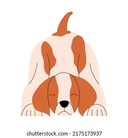 Portrait of a positive beagle playing. Vector illustration in flat style