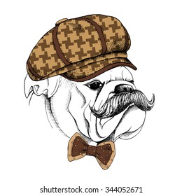 Portrait in profile of a Bulldog with mustache in brown cap and tie. Vector illustration.