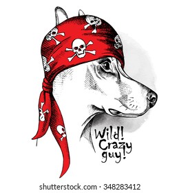 Portrait in profile dog Doberman Pinscher wearing red pirate bandana. Vector illustration.