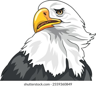 Portrait of a proud eagle. Vector