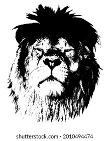 Portrait of a proud lion. Graphics on a white background. Illustration. Vector, eps10.