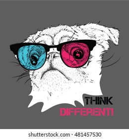 Portrait of the pug in the colored glasses. Vector illustration.