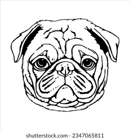 Portrait of Pug Dog. Hand-drawn illustration. Vector