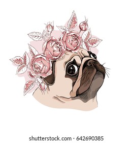 Portrait of a Pug dog in a Rose flower head wreath. Vector illustration.