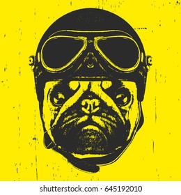 Portrait of Pug Dog with Vintage Helmet. Vector