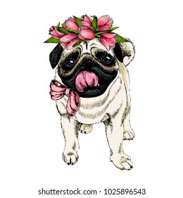 Portrait of pug dog wearing tulip crown. Welcome spring. Hand drawn colored vector illustration. Engraved detailed art. Good for Easter greeting card, poster, banner, flyer, advertisement