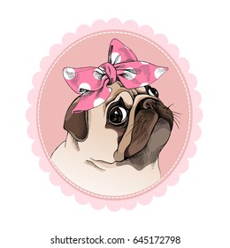 Portrait of a Pug in a pink polka dot headband. Vector illustration.