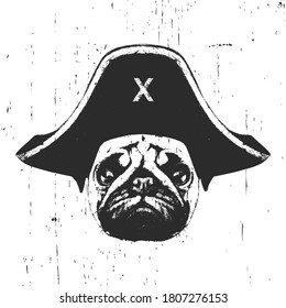 Portrait of Pug with a pirate hat. Vector. 