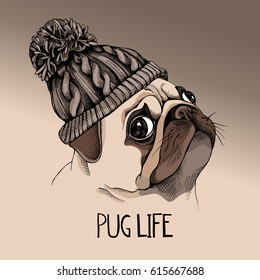 Portrait of a Pug puppy in a knitted hipster hat. Vector illustration.