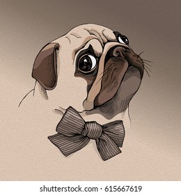 Portrait of a Pug puppy in profile with a bow. Vector illustration.