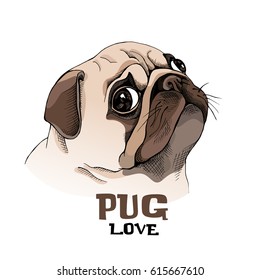 Portrait of a Pug puppy in profile. Vector illustration.