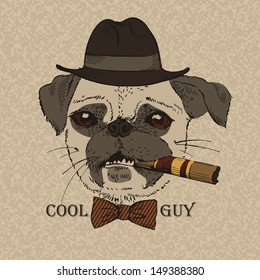 Portrait of Pug-dog with Cigar, Cool Guy, Gangster Look, Vector Illustration