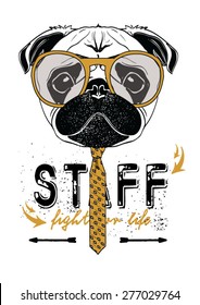 Portrait of Pug-dog , Cool Guy,  Vector Illustration