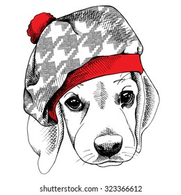 Portrait of Puppy beagle in a beret hat. Vector illustration.