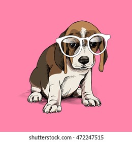 Portrait of a puppy beagle in glasses on a pink background. Vector illustration.