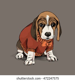 Portrait of a puppy beagle in a red pullover on a beige background. Vector illustration.
