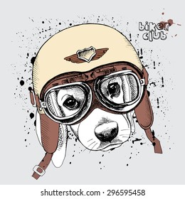 Portrait of a puppy beagle in a retro motorcyclist helmet. Vector illustration.
