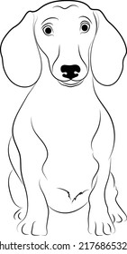 Portrait of a  puppy Beagle Vector illustration
