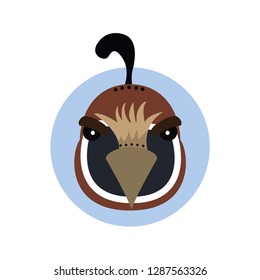 Portrait of a quail head. Color illustration. Flat vector image of poultry quail as a design element for logo, icon, template, label.