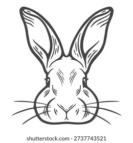 Portrait of rabbit, close-up bunny, head hare, front view, livestock, farm animal, easter symbol, engraving isolated