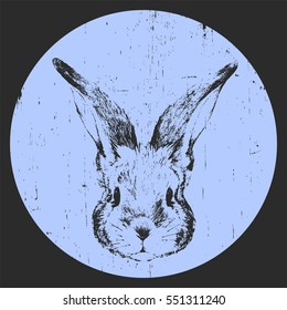 Portrait of Rabbit. Hand drawn illustration. Vector