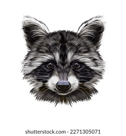 Portrait of a raccoon head from multicolored paints. Splash of watercolor, colored drawing, realistic. Vector illustration of paints