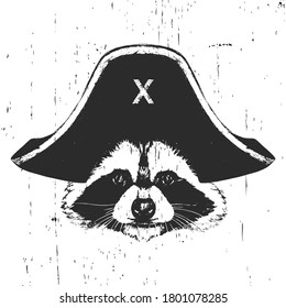 Portrait of Raccoon with a pirate hat. Vector. 