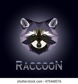 portrait of a raccoon in a triangular style
