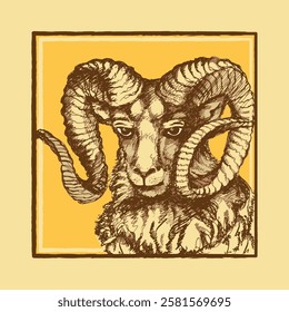 Portrait of a ram with large twisted horns. Sketch, engraving, rough outline. Vector illustration